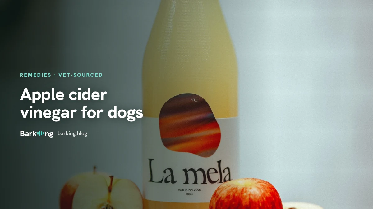An illustration of a bottle of apple cider vinegar