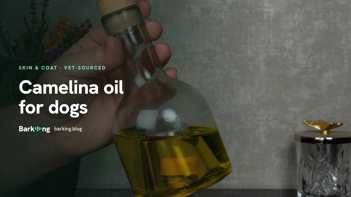 An illustration of a bottle of camelina oil