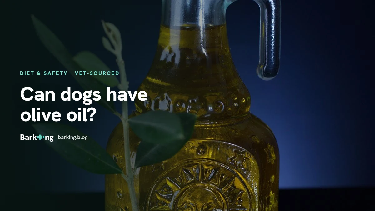 An illustration of a bottle of olive oil with olives