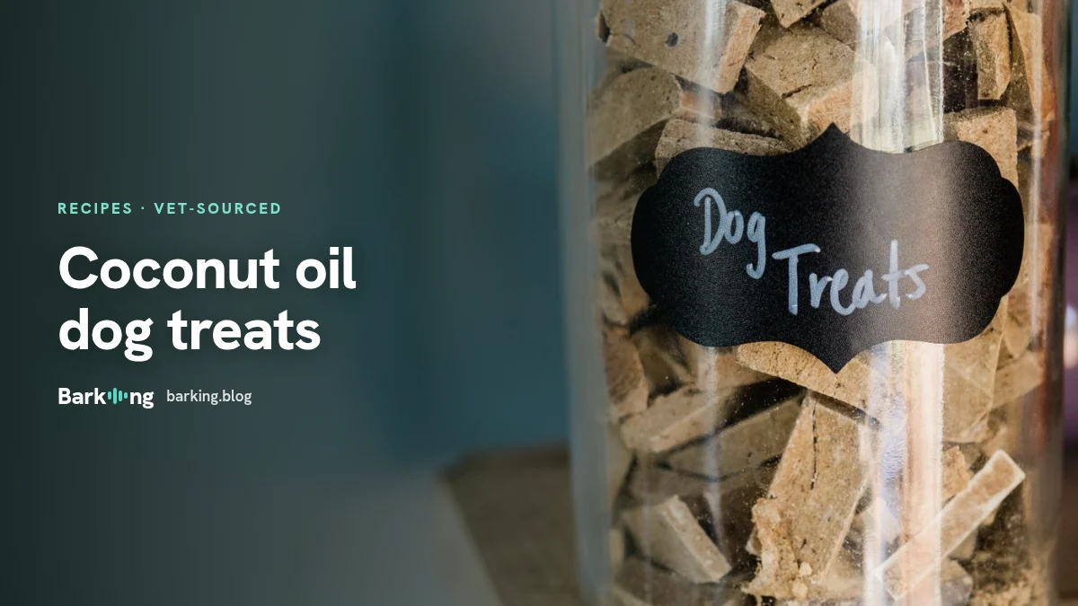 An illustration of a jar of coconut oil with a dog treat
