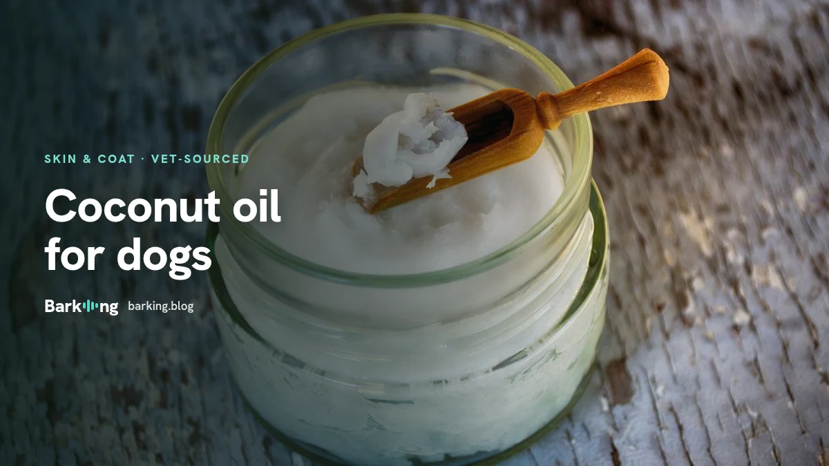 An illustration of a jar of coconut oil