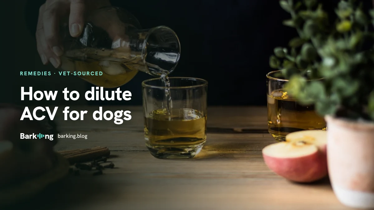 An illustration of an apple cider vinegar bottle with water drops