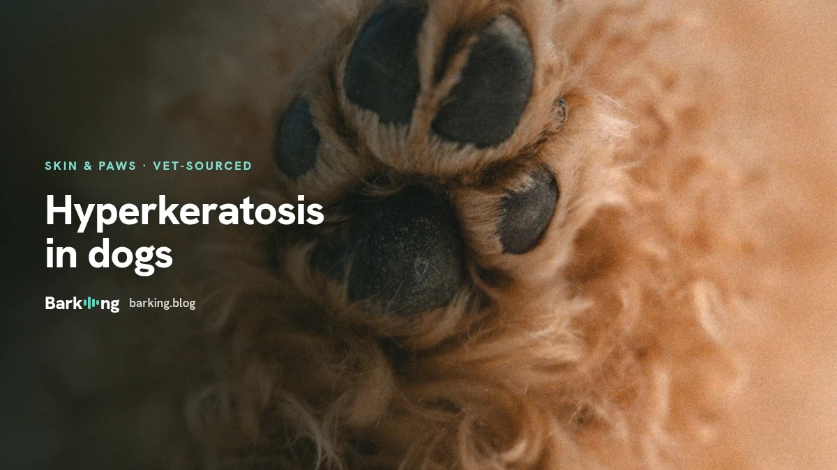 A diagram of a dog paw pad with excess keratin