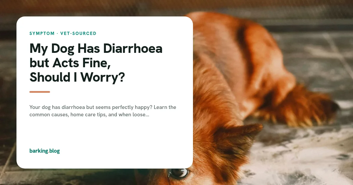 A ginger dog lying stretched out on the ground outdoors.